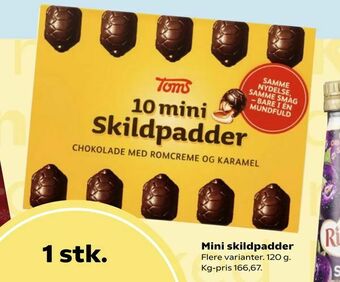 Mini skildpadder