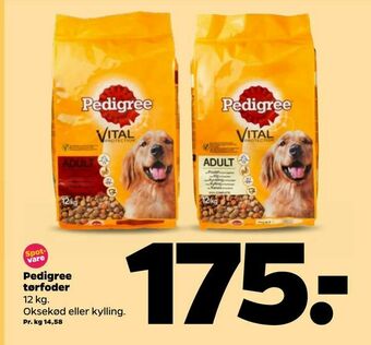 Netto Pedigree tørfoder tilbud