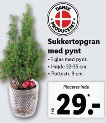 Lidl Sukkertopgran Med Pynt tilbud