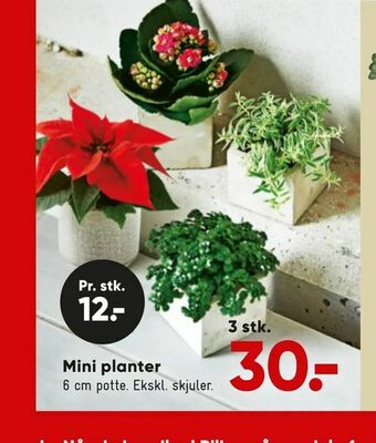 Bilka Mini planter tilbud