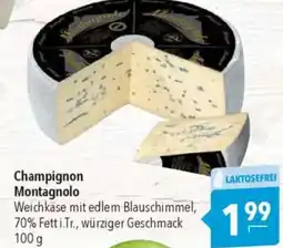 Citti Champignon montagnolo tilbud