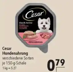 CESAR Hundenahrung