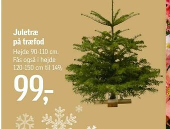 Føtex Juletræ på træfod tilbud