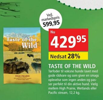 Maxi Zoo Taste of the wild tilbud