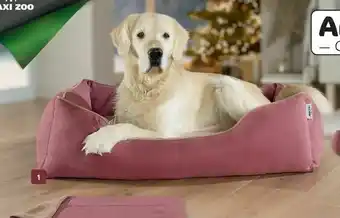 AniOne hundeseng Wintertime