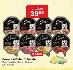 Poetzsch Padborg Cesar vådfoder til hunde tilbud