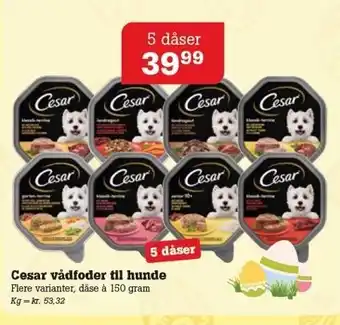 Poetzsch Padborg Cesar vådfoder til hunde tilbud