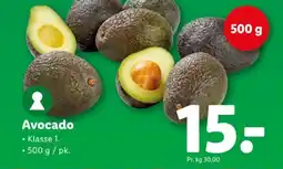 Lidl Avocado tilbud