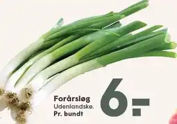 SPAR Forårsløg tilbud