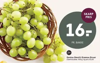 SPAR Gestus Stenfri Grønne Druer tilbud