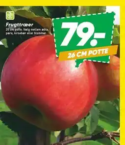 Bilka Frugttræer tilbud