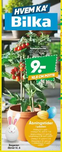 Bilka Tomatplante tilbud