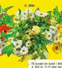 Bilka Buketbinderi tilbud