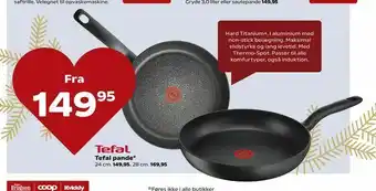 Tefal pande