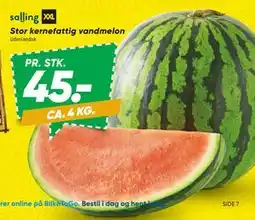 Bilka Stor kernefattig vandmelon tilbud