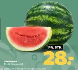 Netto Vandmelon tilbud