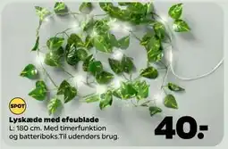 Netto Lyskæde med efeublade tilbud