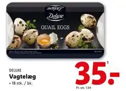 Vagtelæg