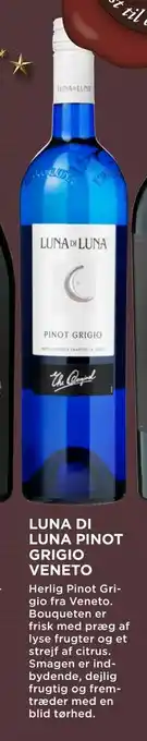 MENY Luna di luna pinot grigio veneto tilbud