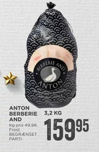MENY Anton berberie and tilbud