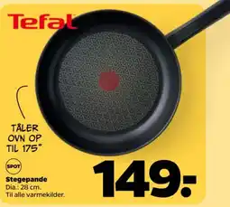 Netto Stegepande tilbud