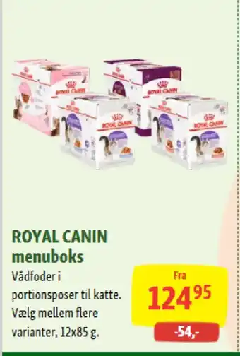 Maxi Zoo ROYAL CANIN menuboks tilbud
