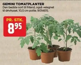 jem & fix GEMINI TOMATPLANTER tilbud