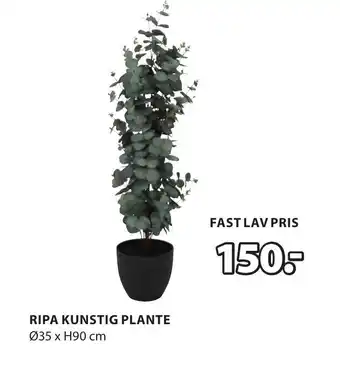 JYSK RIPA KUNSTIG PLANTE tilbud