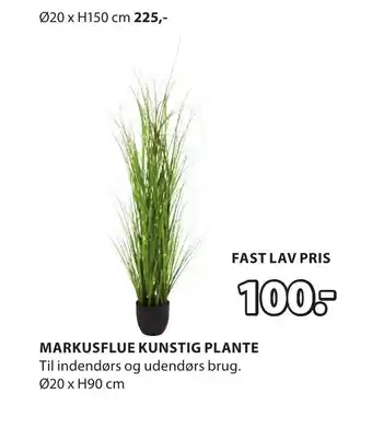 JYSK MARKUSFLUE KUNSTIG PLANTE tilbud