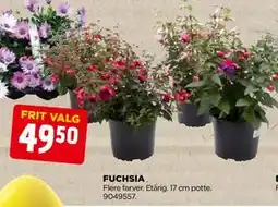 jem & fix FUCHSIA tilbud