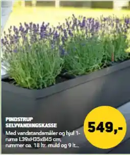 XL-BYG PINDSTRUP SELYVANDINGSKASSE tilbud