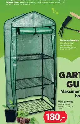 BigDollar Mini drivhus tilbud