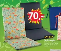 BigDollar Stolehynder tilbud
