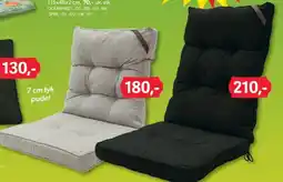 BigDollar Stolehynder Luksus tilbud