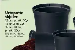 BigDollar Urtepotte- skjuler tilbud