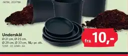 BigDollar Underskål tilbud