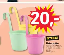 BigDollar NYHED! Urtepotte tilbud