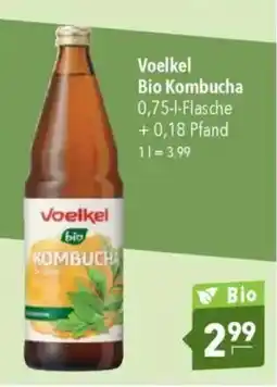 Citti Voelkel bio kombucha tilbud