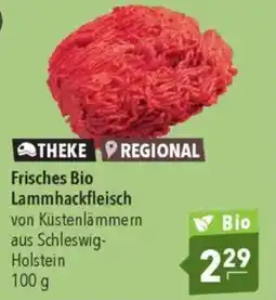 Citti Frisches bio lammhackfleisch tilbud