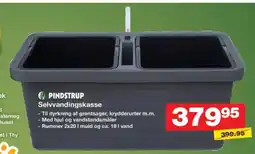 PINDSTRUP