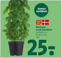 Coop 365 Økologisk dansk basilikum tilbud