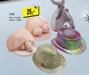 Harald Nyborg Hat tilbud