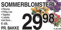 ABC Lavpris Sommerblomster tilbud