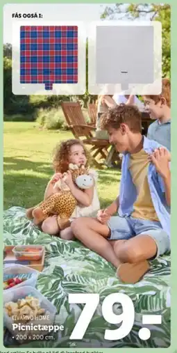 Lidl LIVARNO HOME Picnictæppe tilbud
