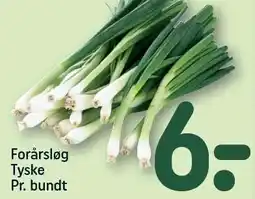 REMA 1000 Forårsløg tyske pr. bundt tilbud