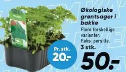 Bilka Økologiske grøntsager i bakke tilbud