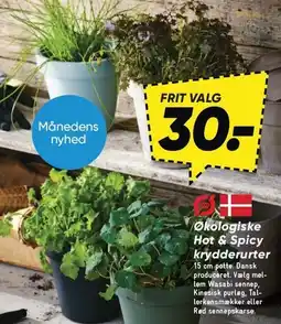 Bilka Økologiske Hot & Spicy krydderurter tilbud