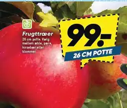 Bilka Frugttræer tilbud