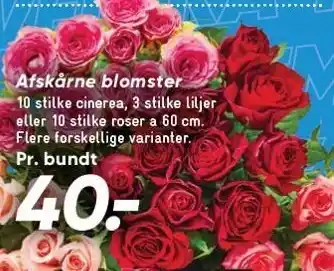 Bilka Afskårne blomster tilbud
