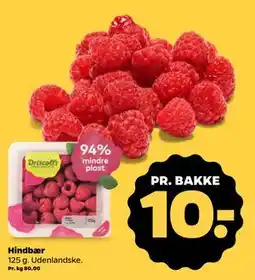 Netto Hindbær tilbud